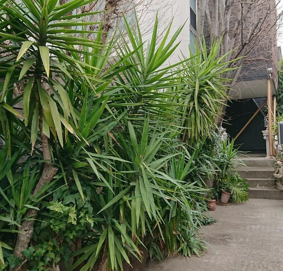 Setagaya-Ku - House - Vacation Stay 16507 Tokyo Guest house