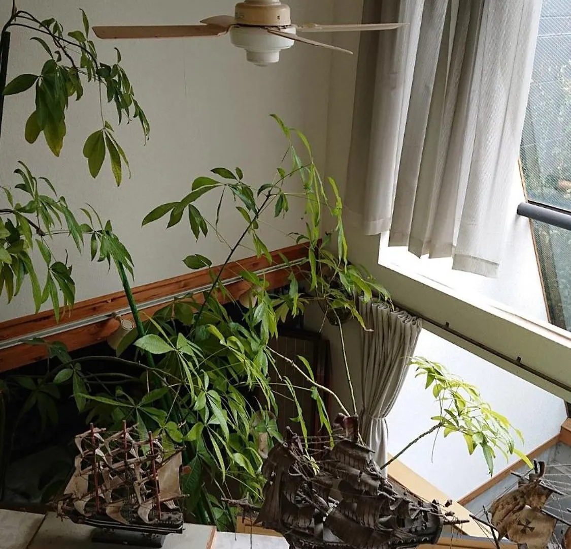 Setagaya-Ku - House - Vacation Stay 16507 Tokyo