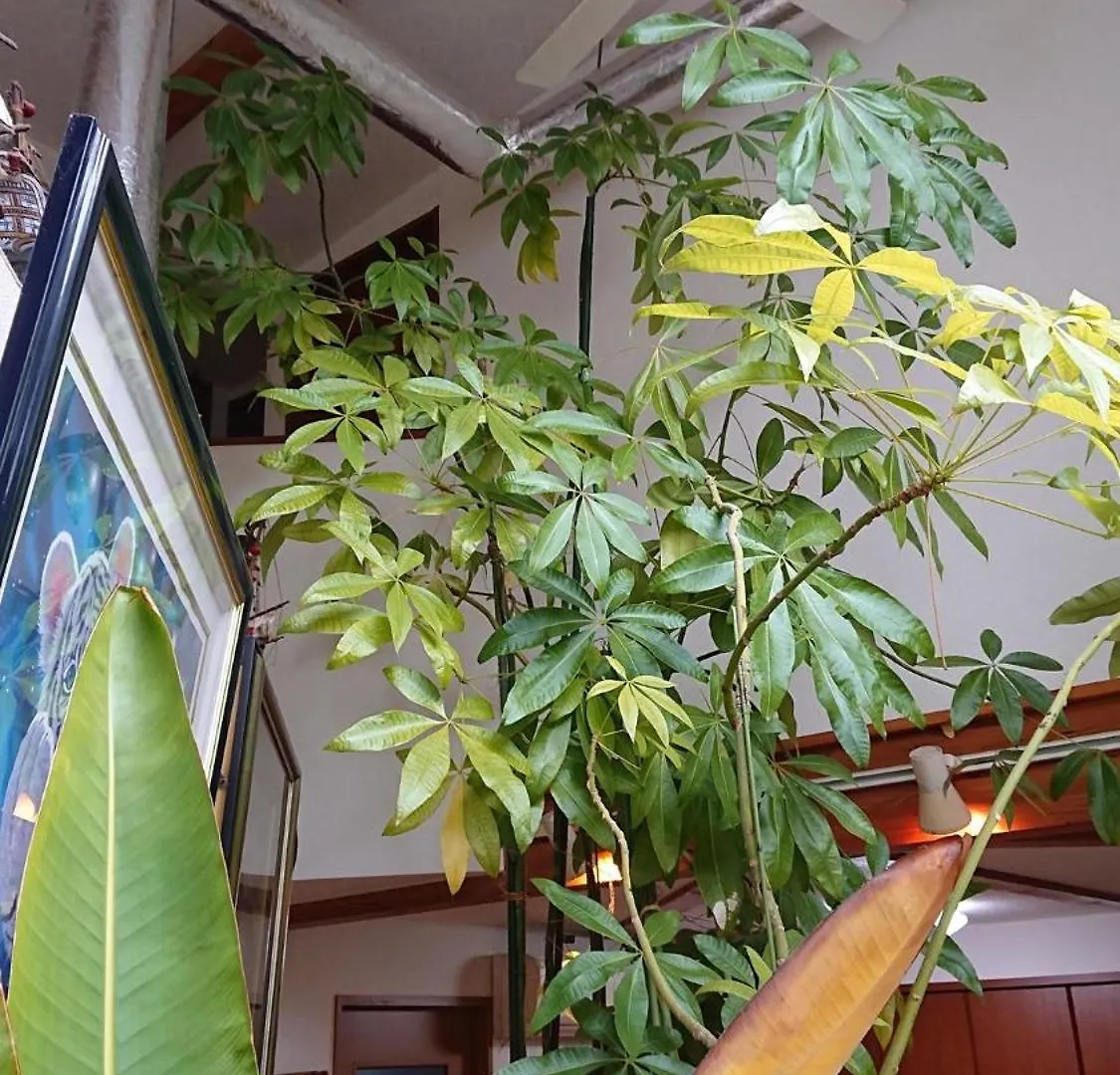 Guest house Setagaya-Ku - House - Vacation Stay 16507 Tokyo